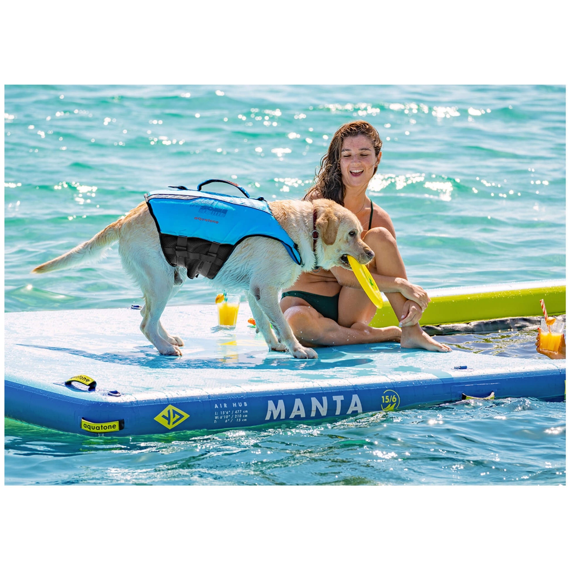 Aquatone Pawsome Hunde Schwimmweste mit Griff blau