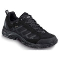 Meindl Caribe GTX Wanderschuhe schwarz