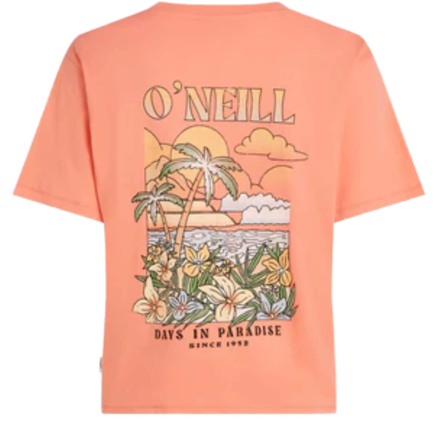 O'Neill Boxy Back Print Damen T- Shirt orange