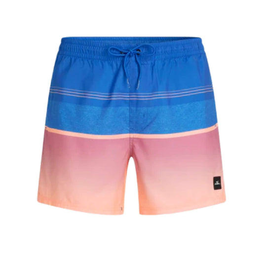 O'Neill Gradient 15 Swim Shorts blau