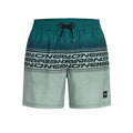 O'Neill Logo Stripe 16 Swim Shorts grün