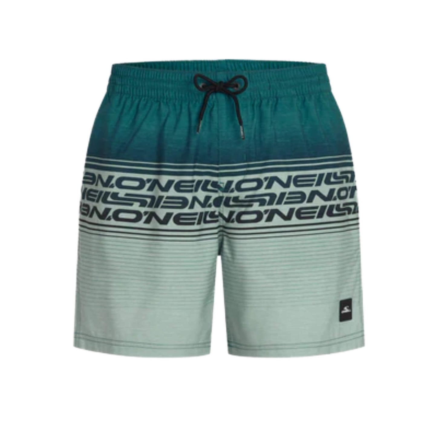 O'Neill Logo Stripe 16 Swim Shorts grün