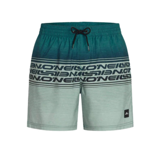 O'Neill Logo Stripe 16 Swim Shorts grün