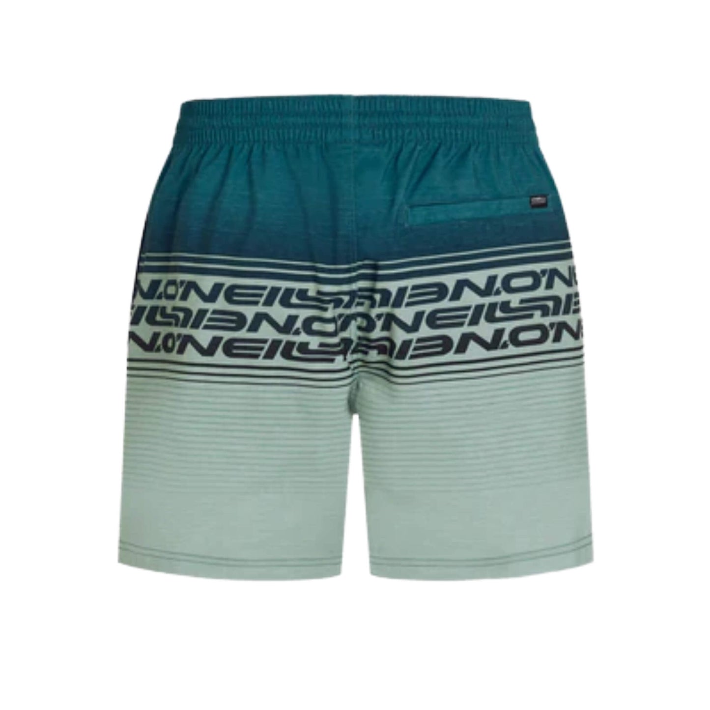 O'Neill Logo Stripe 16 Swim Shorts grün