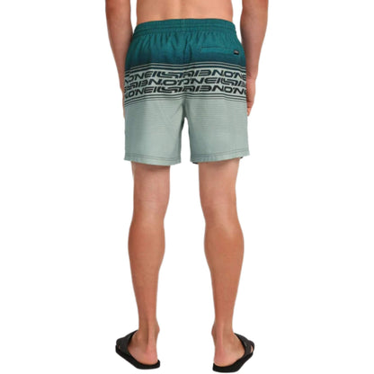 O'Neill Logo Stripe 16 Swim Shorts grün