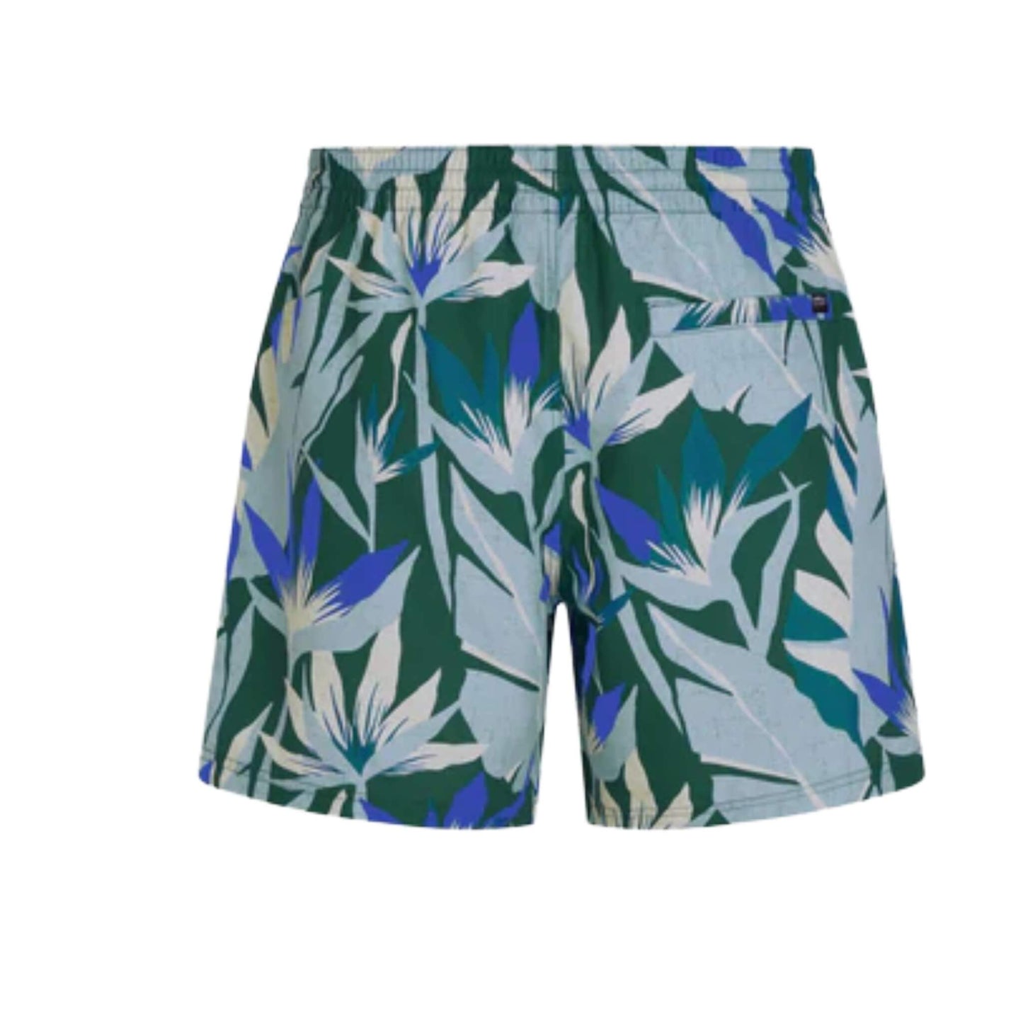 O'Neill Print 16 Swim Shorts blau