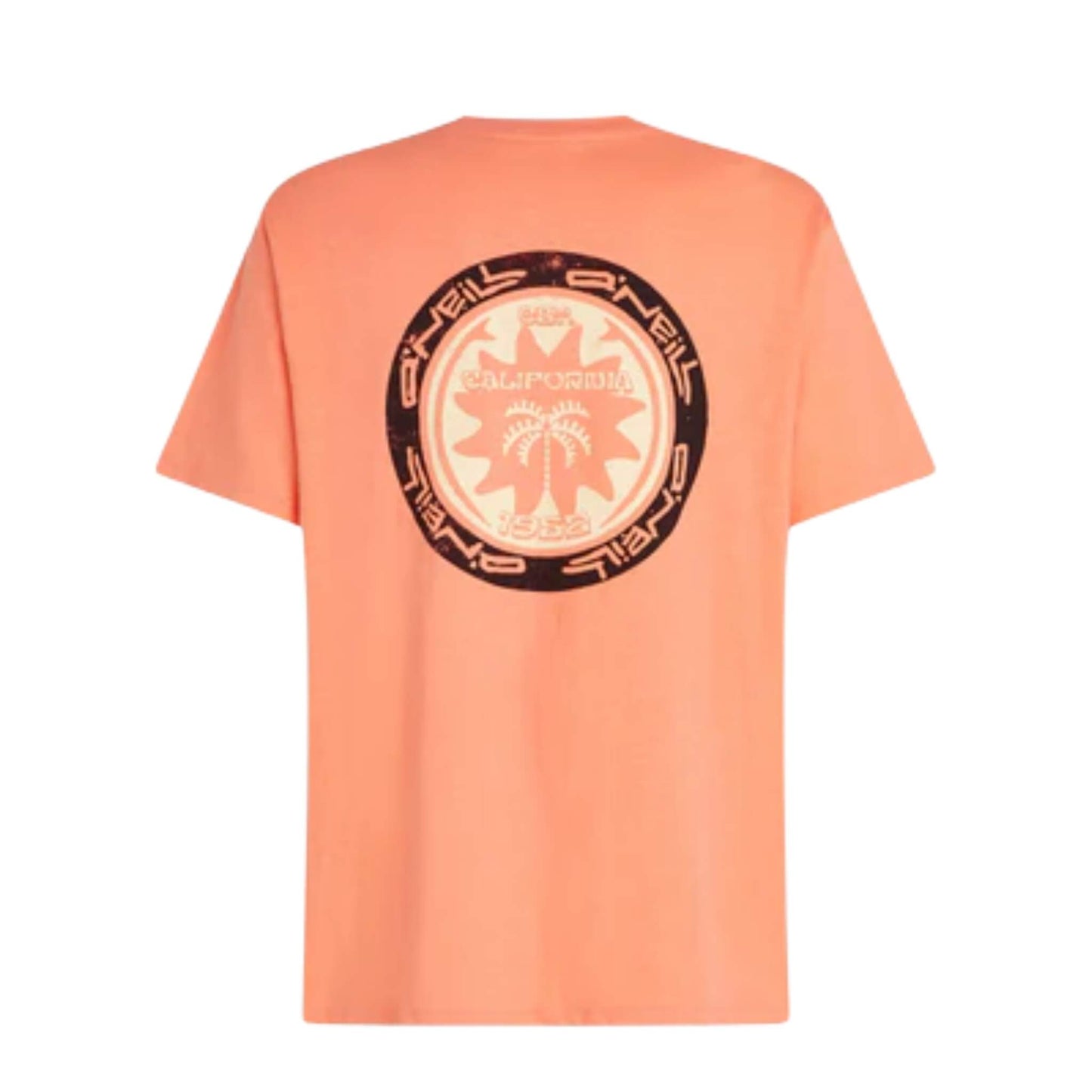 O'Neill Slub Back Print T-Shirt orange