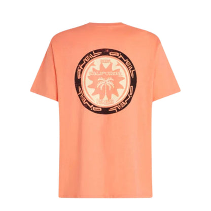 O'Neill Slub Back Print T-Shirt orange