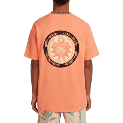 O'Neill Slub Back Print T-Shirt orange