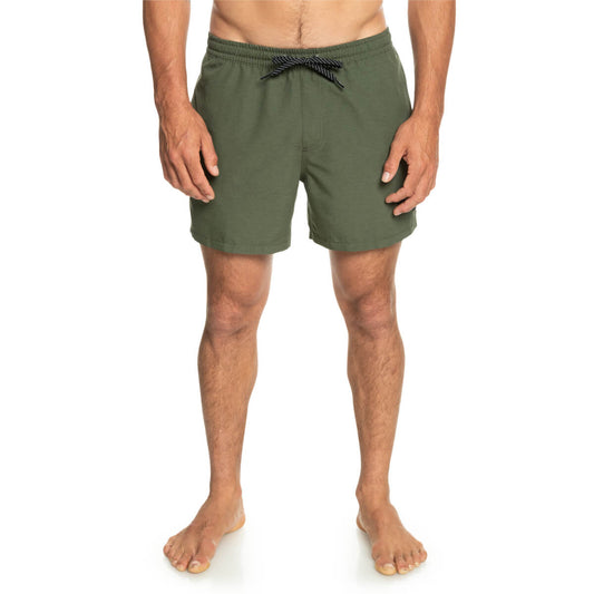 Quiksilver Everyday Deluxe 15 Boardshorts grün